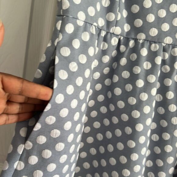 The Limited Polka Dot Sleeveless A-Line Dress - Picture 7 of 14